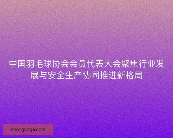 中国羽毛球协会会员代表大会聚焦行业发展与安全生产协同推进新格局