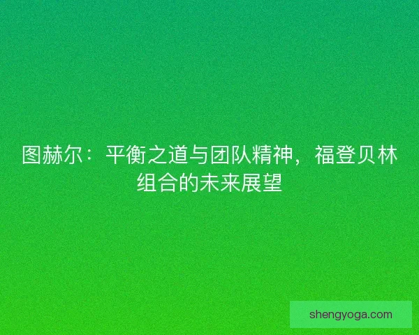 图赫尔：平衡之道与团队精神，福登贝林组合的未来展望